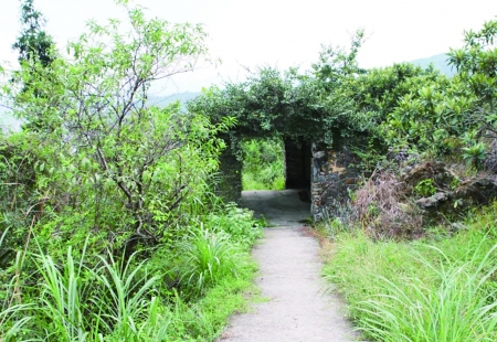 瑶岙岭路寮