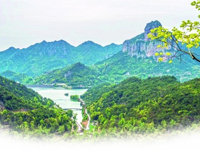 做活文旅产业 助力乡村共富 中雁打造乡村旅游全产业链