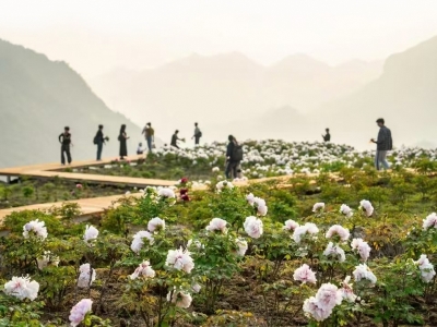 打造休闲旅游“后花园” 市政协为中雁景区发展献策 打造乐清文旅新名片
