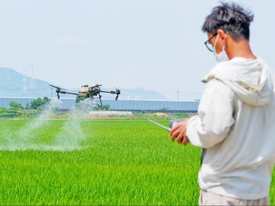 一小时作业60亩地 年产值达500万元 新农人“飞”出智慧农业新天地