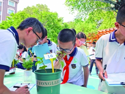 稚子识百草