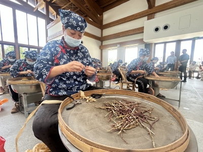 农妇巧手编织“致富梦” 市村运会铁皮枫斗加工技能大赛举行