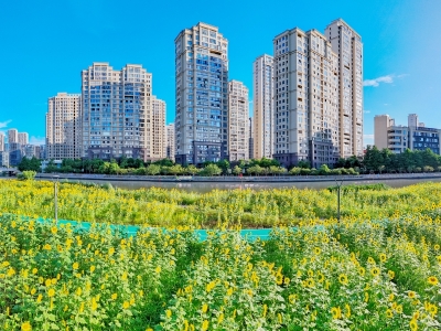 绿道披“金装”