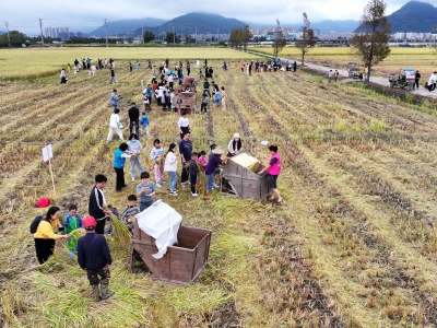 田间村运会 农趣竞赛忙