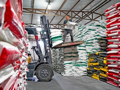 冬闲人不闲 忙出丰收年 乐清农资保供到田头