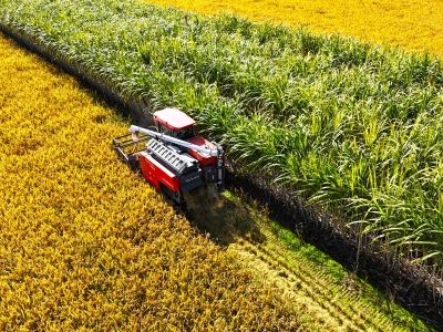 田间秸秆也能“分类处置” 乐清试点生态循环新模式