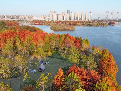 乐清元旦文旅盛宴花式“上新”