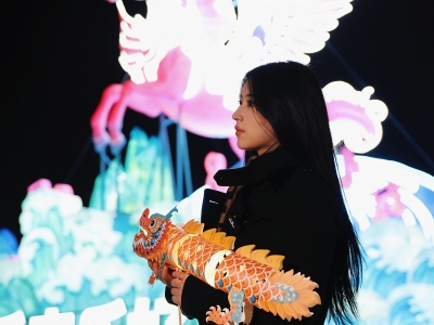 乐来乐好·2026乐清新春灯展爆火出片 网红博主推荐机位大公开