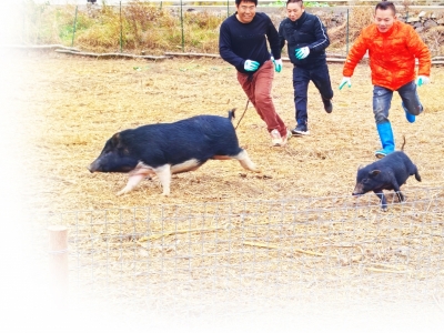 冬日田园 玩出新花样 乐清生态体验引燃“自然经济”