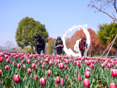 昨日立春 暖意融融 新的冷空气将影响我市