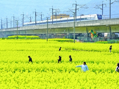 开往春天的列车