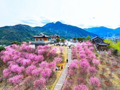 春暖花开 春光绚烂