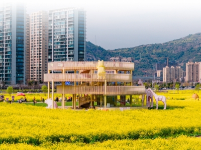 “都市谧境·花田U趣”2026年油菜花节3月14日启幕 2300亩花海邀你赴春日之约