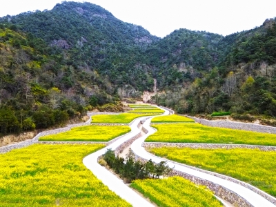 深山花海 富乡村