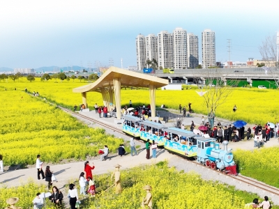 一路繁花一路景 乐清“春日经济”绽芳华