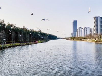 做强“水文章” 壮大“水经济” 乐清绘就幸福河湖新画卷