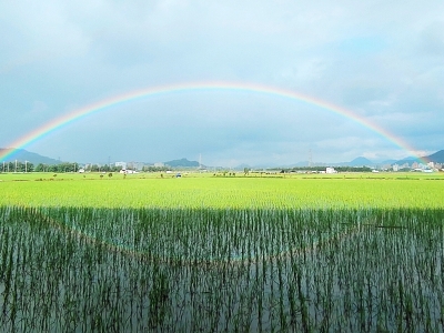 虹落田畴