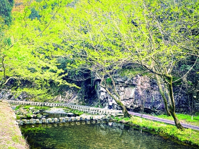 西漈“龙街”。